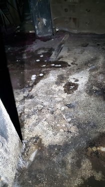 Dead Body Stain and Dried Up Maggots in an old Abandoned Internet Cafe OC   