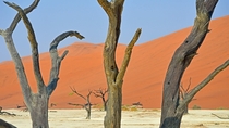 Dead Vlei Sossusvlei Namibia 
