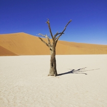 Deadvlei Namib Desert Namibia x