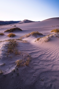 Death Valley sand dunes right after sunset as the temperature was dropping  degrees an hour 