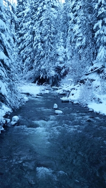 Deep into the frozen wilderness Mt Hood OR 