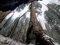 Deer Creek Sequoia Grove CA US  