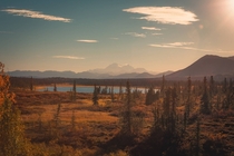 Denali national park Alaska 