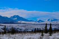 Denali National Park Alaska 