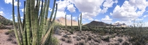 Desert landscape in Organ Pipe Cactus National Monument AZ  x