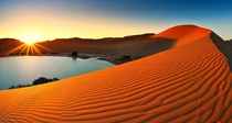 Desert Oasis - Sossusvlei Namibia  