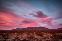 Desert Sunset - Mojave Desert CA 
