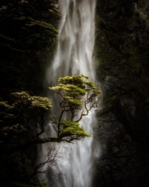Devils Punchbowl Waterfall Arthurs Pass NZ 