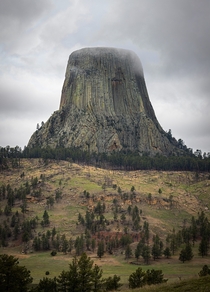 Devils Tower WY 