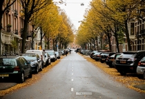 Did someone say autumn in Amsterdam