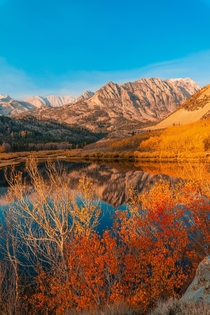 Didnt have to wake up super early for this Autumn at North lake Bishop CA 