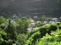 Dominican Village 