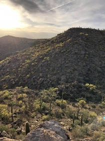 Dove mountain Arizona OC 