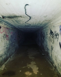Down the tunnel we go   Westborough State Hospital  sadly demolished