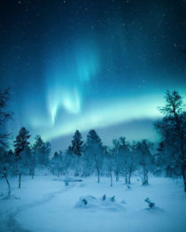 Dreamy - Northern Lights across Lapland Finland from rMostBeautiful posted by uBebaColombianaXo 