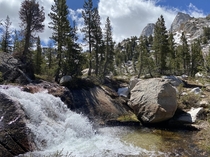 Drink the Waters of Piute Creek Yosemite NP California 