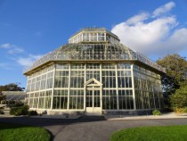 Dublin Botanic Gardens 