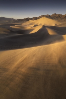 Dunes painted gold during sunset in Death Valley National Park California 