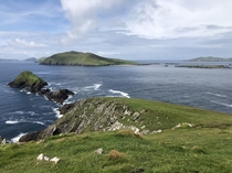Dunmore Head on the Dingle Peninsula Co Kerry Ireland 