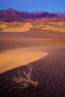 Dusk at Mesquite Flat Dunes Death Valley National Park California USA 