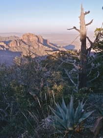 Dusk in the Chisos Mountains of Big Bend National Park Texas USA 