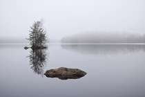 Dystopic feeling on Lilla lgsjn Little Moose Lake in Kolmrden Sweden 