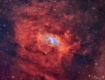 EAPOD June th   The Bubble Nebula  Tal Akerman