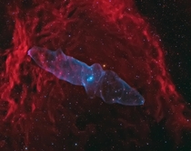 EAPOD June th   The Squid Nebula  Manos Malakopoulos