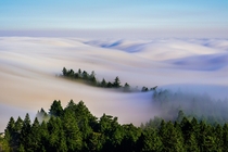 Early morning fog Mount Tamalpais California USA 
