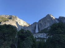 Early Morning Yosemite Falls 