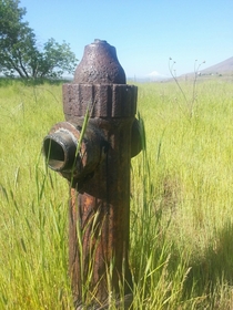 Early s fire hydrant 