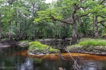 Econlockhatchee River bend near Orlando Florida 