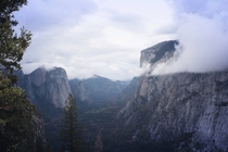 El Capitan - Yosemite California - Standing Tall in the Mist 