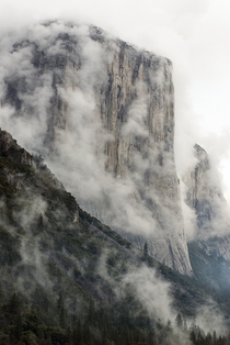 El Capitan - Yosemite National Park  What do you think