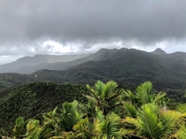 El Yunque Rain Forest 