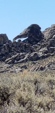 Elephant head rock Nevada 