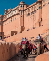Elephant riding at Amer fort Jaipur