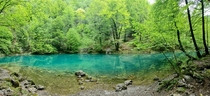 Emerald colours on the source of river Kupa in Croatia 
