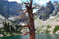 Emerald Lake Rocky Mountain National Park 