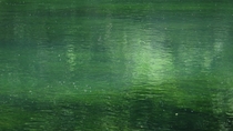 Emerald water Lake Berryessa CA 