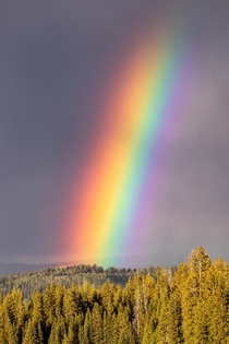 End of the rainbow in Colorados White River National Forest 