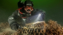 Enigma encryption machine used by Nazi Germany in World War II found on bottom of Baltic Sea