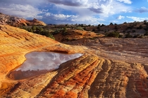 Ephemeral reflections Rainwater in a sandstone pothole near Kanab Utah 