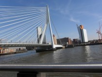 Erasmusbrug in Rotterdam 