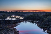 Estonian Bog at Twilight 