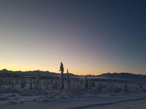 Eureka Alaska last winter OC