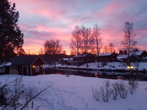 Evening Light In Sweden x 