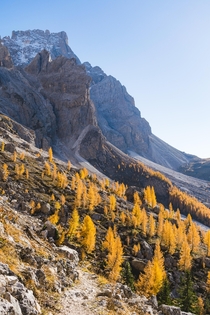 Experiencing constant nostalgia for the Italian Dolomites 