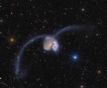 Exploring the Antennae some  million light-years away in the southerly constellation Corvus two large galaxies are colliding 