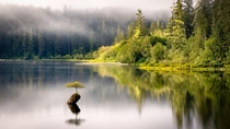 Fairy Lake Vancouver Island British Columbia  x